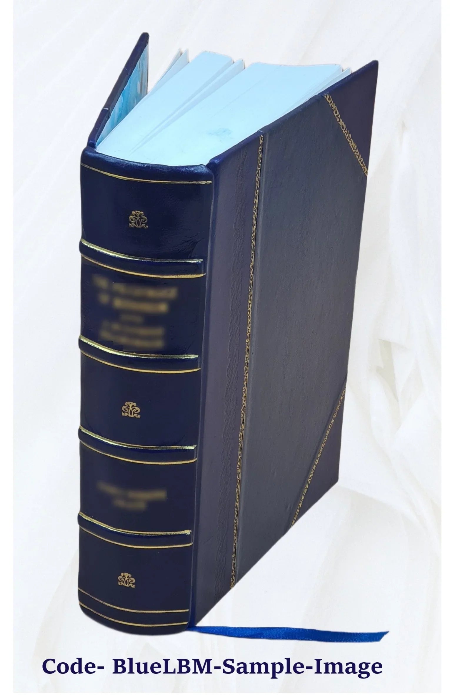 '- [Leather Bound] Student - Text FSI Introduction Programmed German