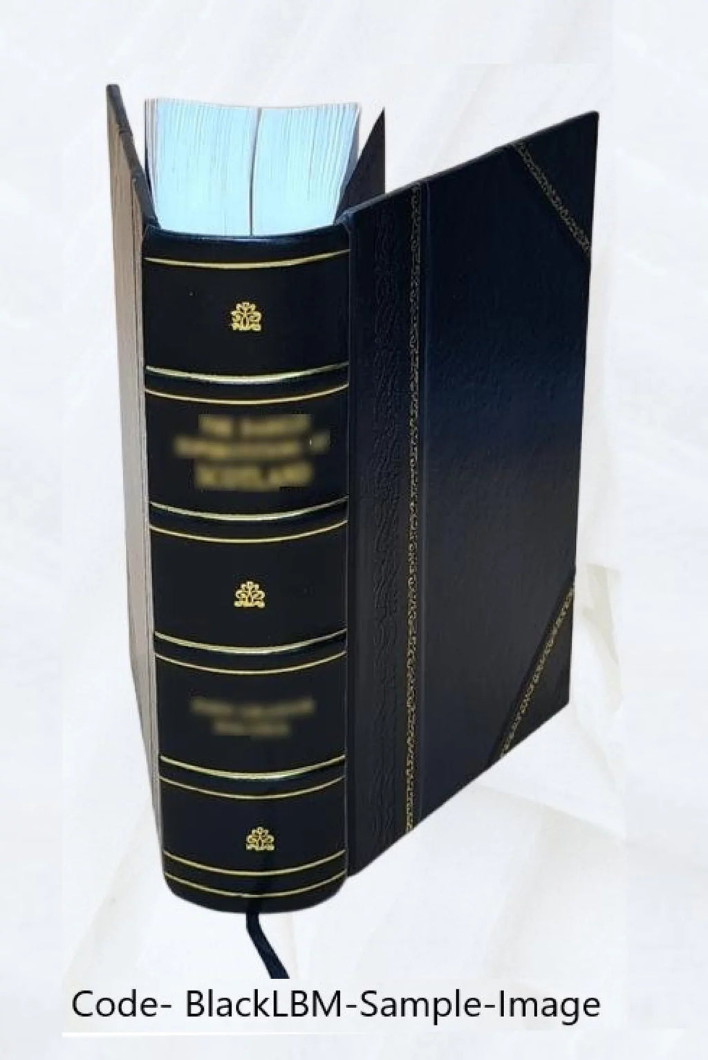 169 Li Volume de Claris romans Bound] et Laris 1884 [Leather