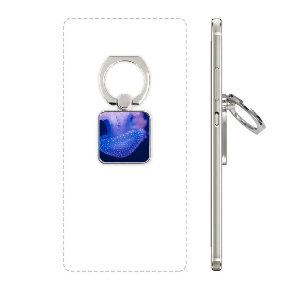 square stand marine holder universal organism tropical bracket jellyfish sea cell support ph