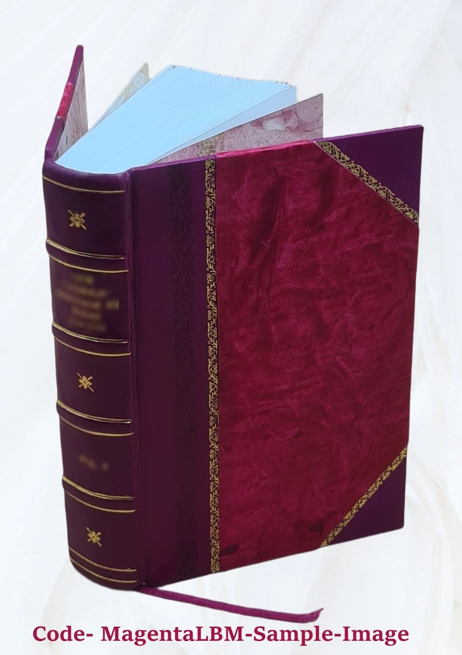 '- [Leather Bound] Student - Text FSI Introduction Programmed German