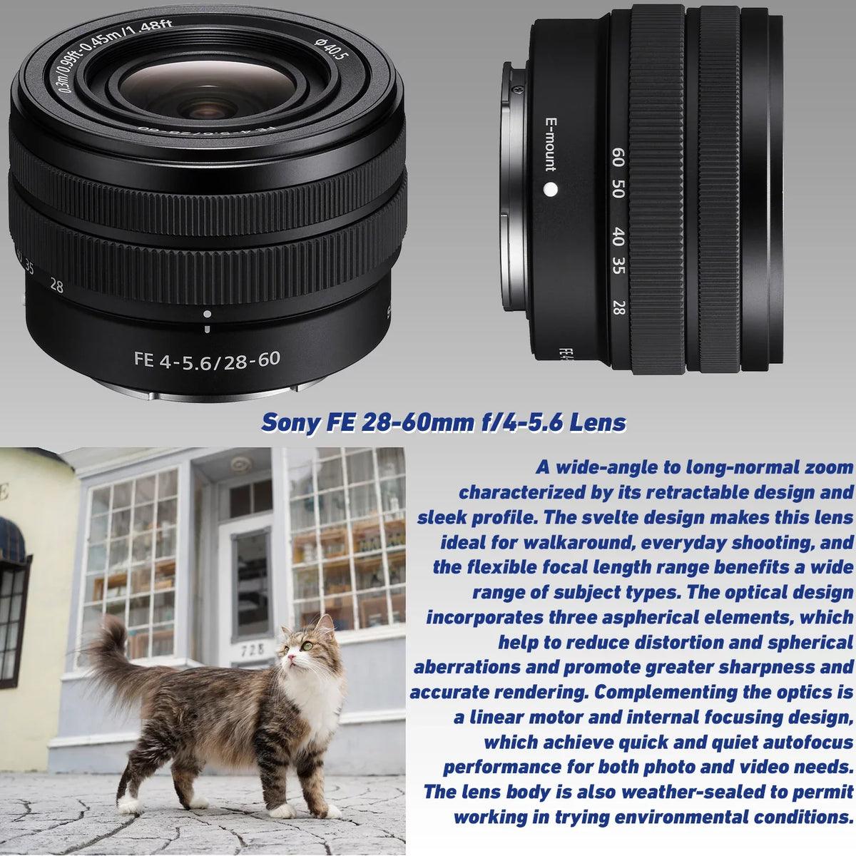Digital Lightweight Mirrorless SDXC, 28-60mm & Ultra f/1.8 Alpha f/4-5.6 & Much Deluxe Sony with Bundle: 72¡± Ultimaxx + Camera 64GB SanDisk Lens a6400 More Lens Manual Sony Tripod Accessory 25mm FE