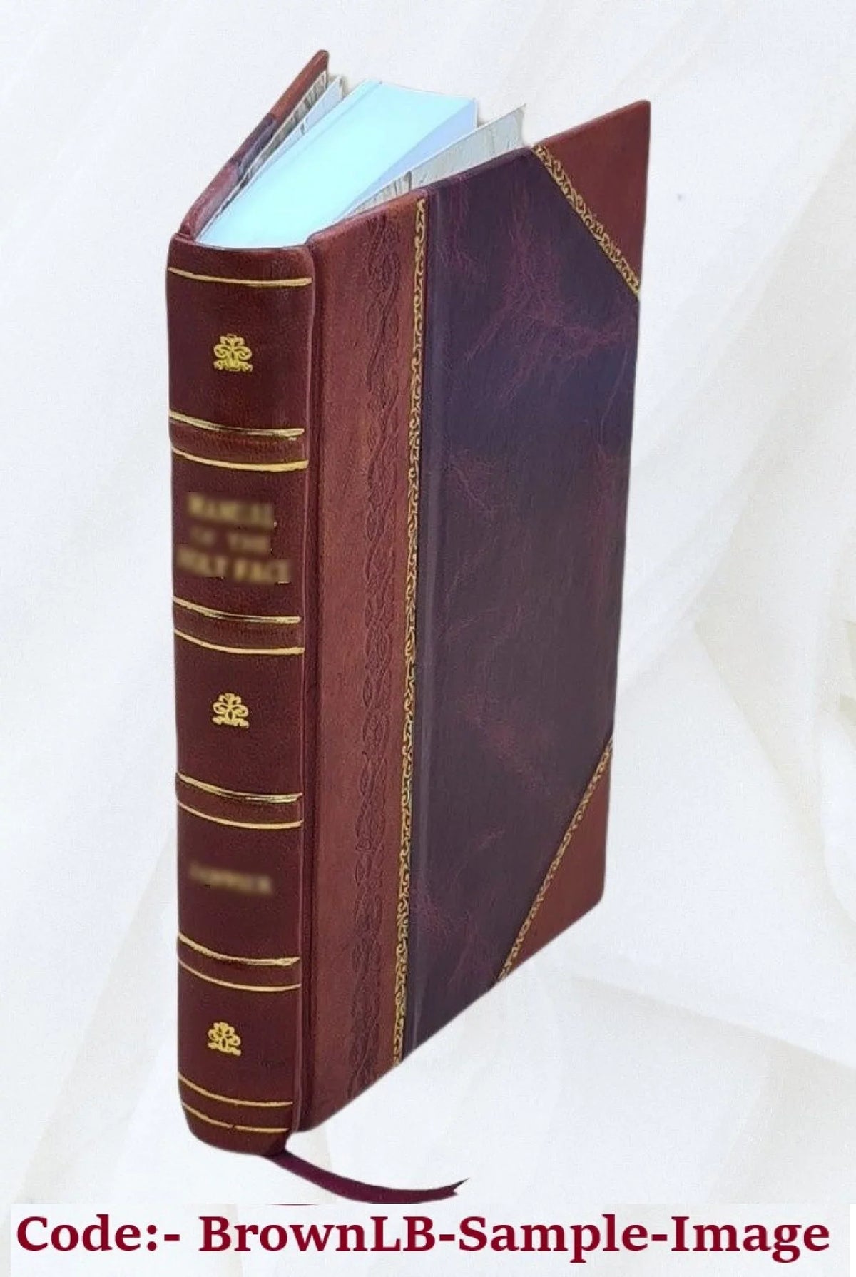 1860 Bound] [Leather c.1 pt. 2-3 Zapiski. v.4 Volume 1860