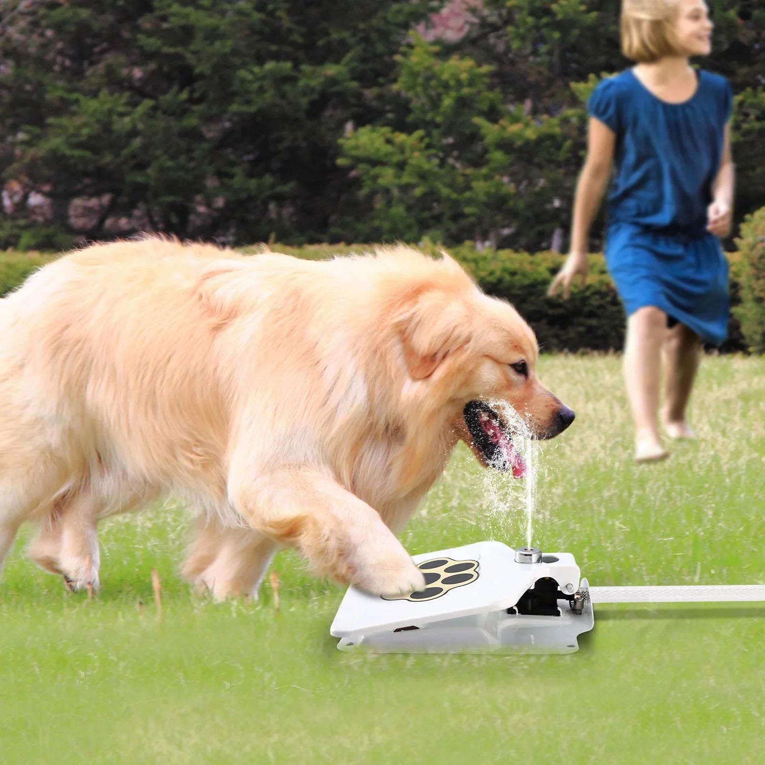 Dog Water on Sprinkler iMounTEK Hygienic, Fountain, Step Paw Outdoor Toy Dog Activated Ultra Garden